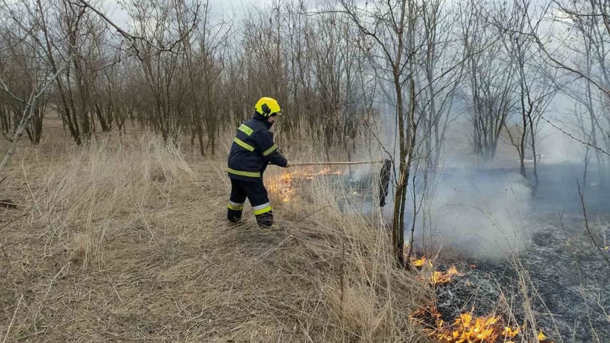 Primăvara readuce riscul incendiilor de vegetație. Recomandări pentru populație