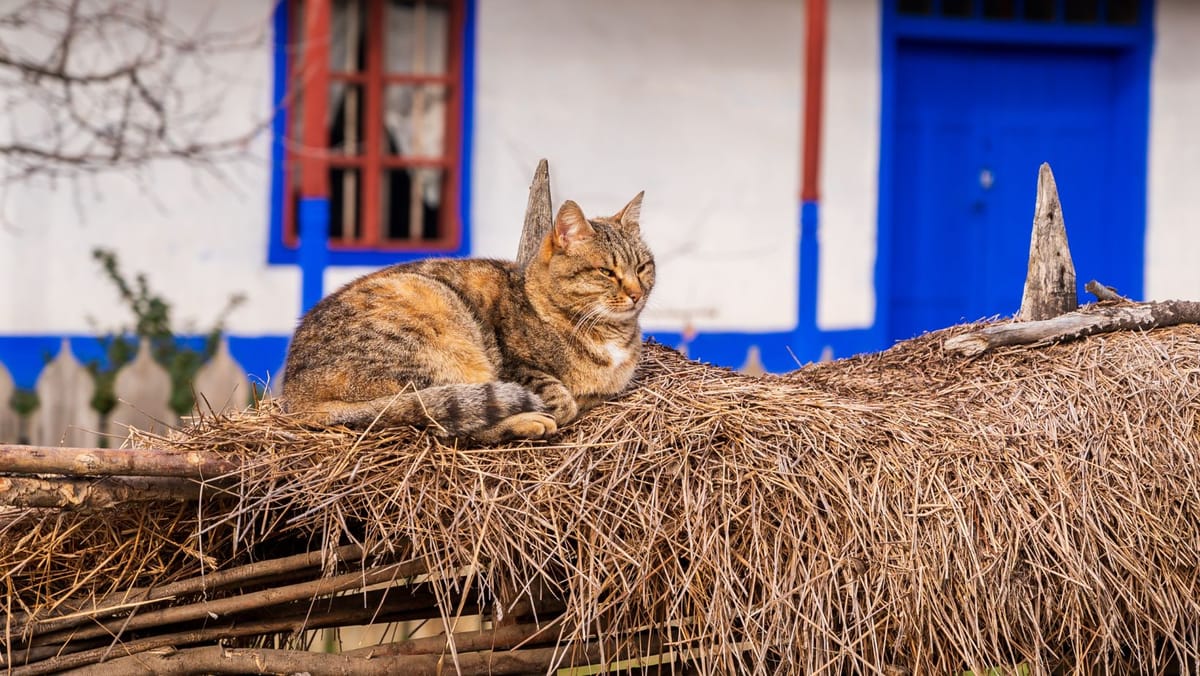 Cer predominant senin, vânt slab și maxime de până la +18°C. Prognoza meteo pentru ziua de 26 martie