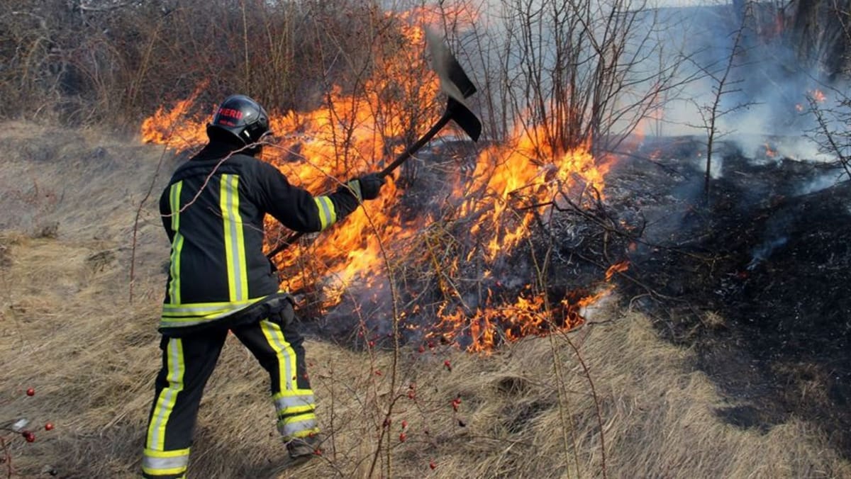 Razii nocturne în nordul țării. O persoană, amendată cu 10.000 de lei pentru incendierea vegetației forestiere
