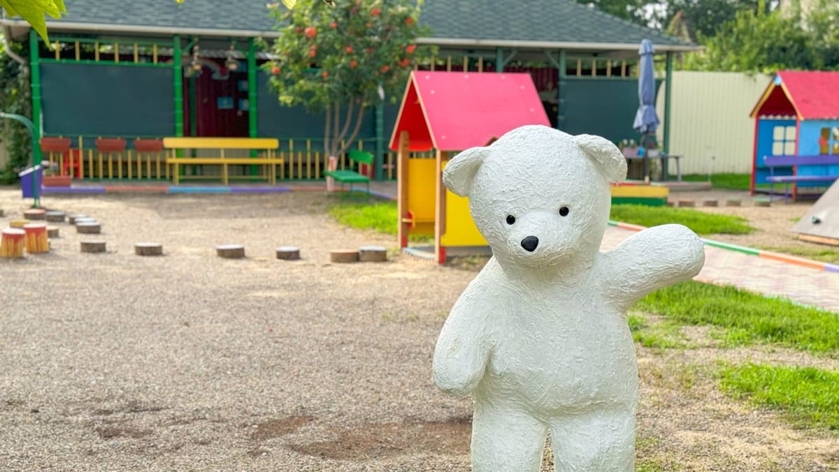 Reprezentanții DGETS au vizitat grădinița implicată în scandalul cu copii agresați. Precizările lui Andrei Pavaloi