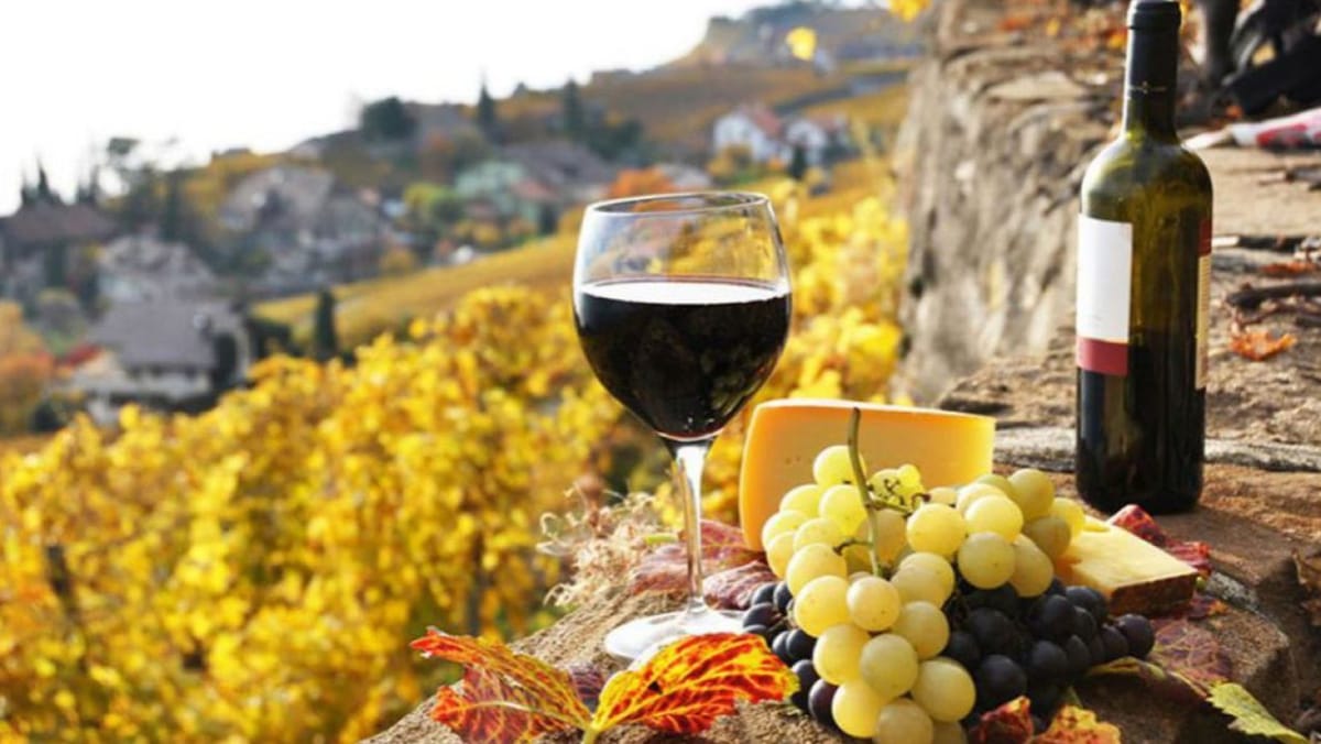 Două decenii după primul embargou: drumul vinului moldovenesc de la piața rusă la exporturi globale