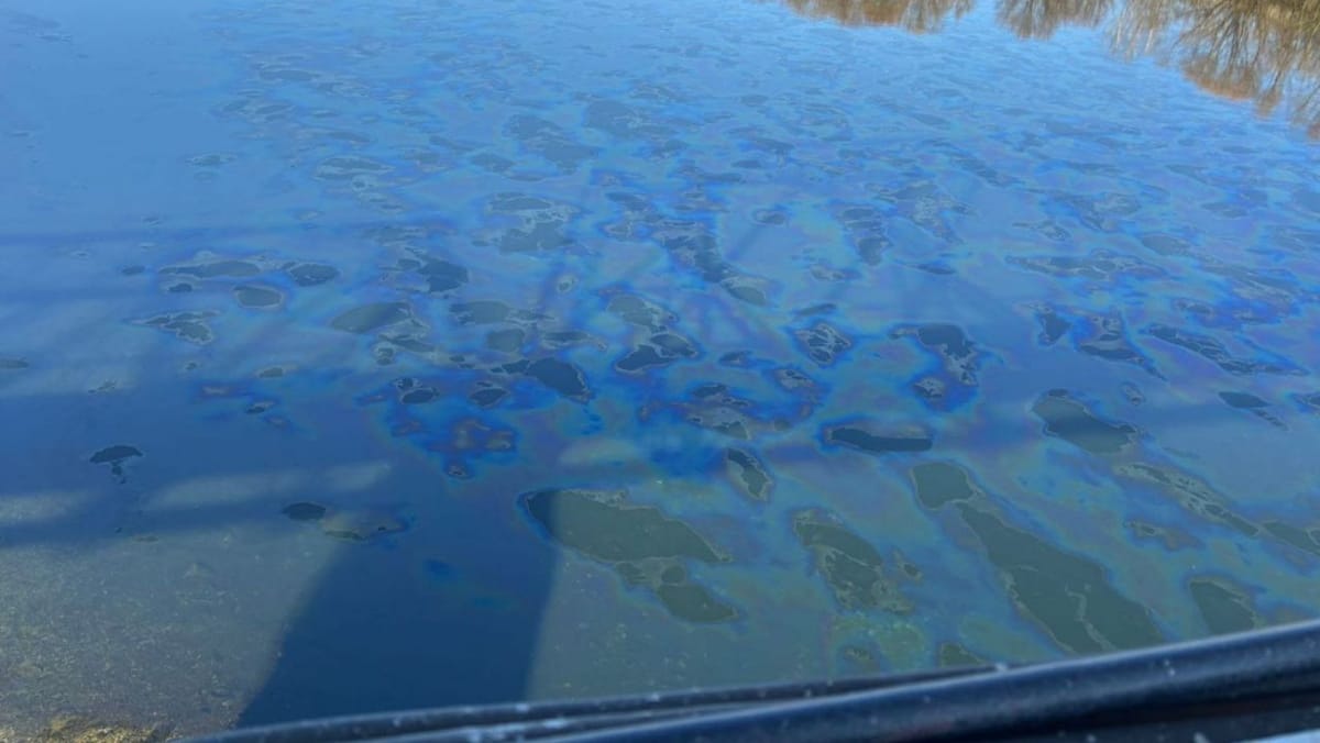 VIDEO/ Pată suspectă de ulei observată pe râul Nistru, în zona Naslavcea-Otaci. Cum comentează autoritățile