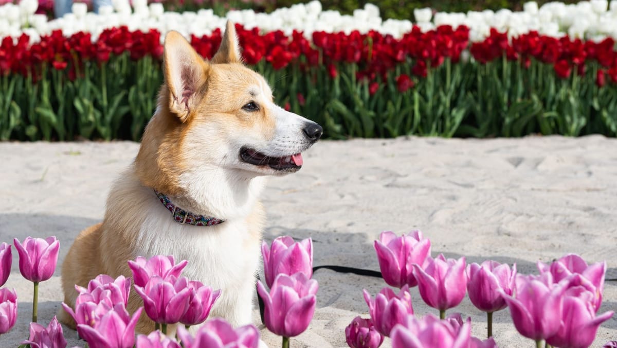 Cerul va fi variabil, iar vremea se menține liniștită. Datele meteo pentru joi