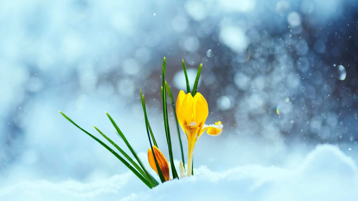 Prognoza meteo pentru 2 martie: Început de primăvară cu maxime de până la +15°C în sud