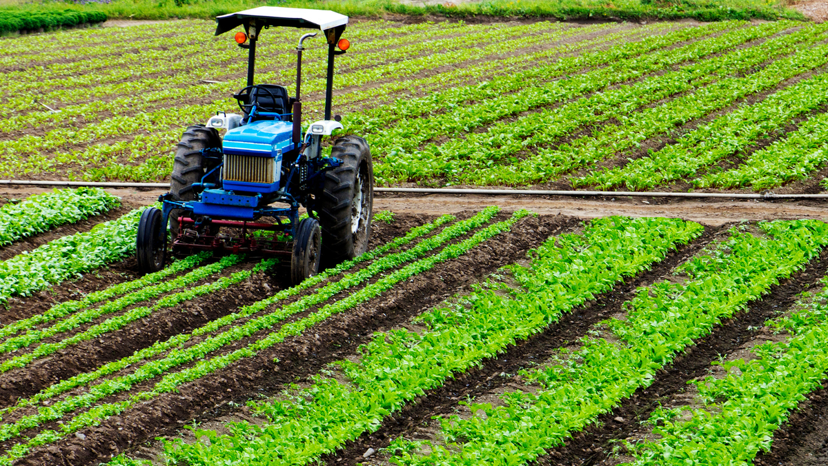 Subvenții de peste 45 de milioane de lei autorizate pentru agricultori în prima săptămână din martie