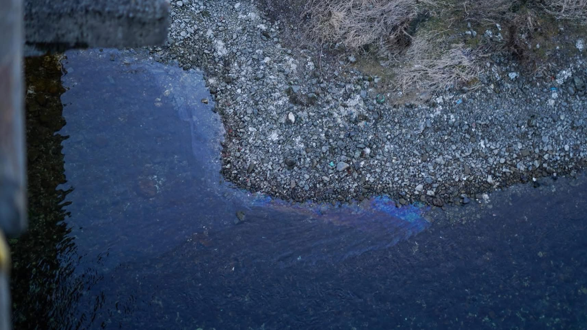 FOTO/ Ce măsuri au întreprins astăzi autoritățile pentru protejarea apei din Nistru