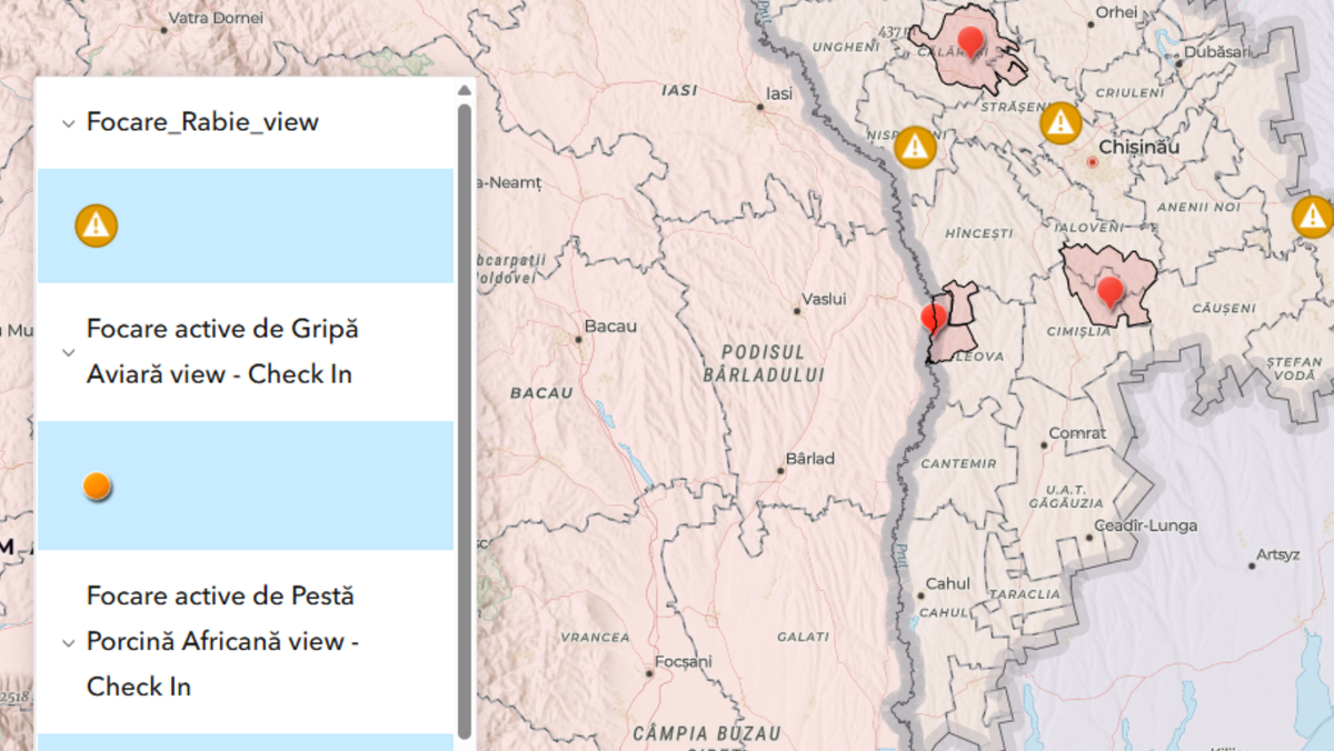 Pesta Porcină Africană și rabia afectează animale sălbatice și domestice - mai multe cazuri au fost raportate