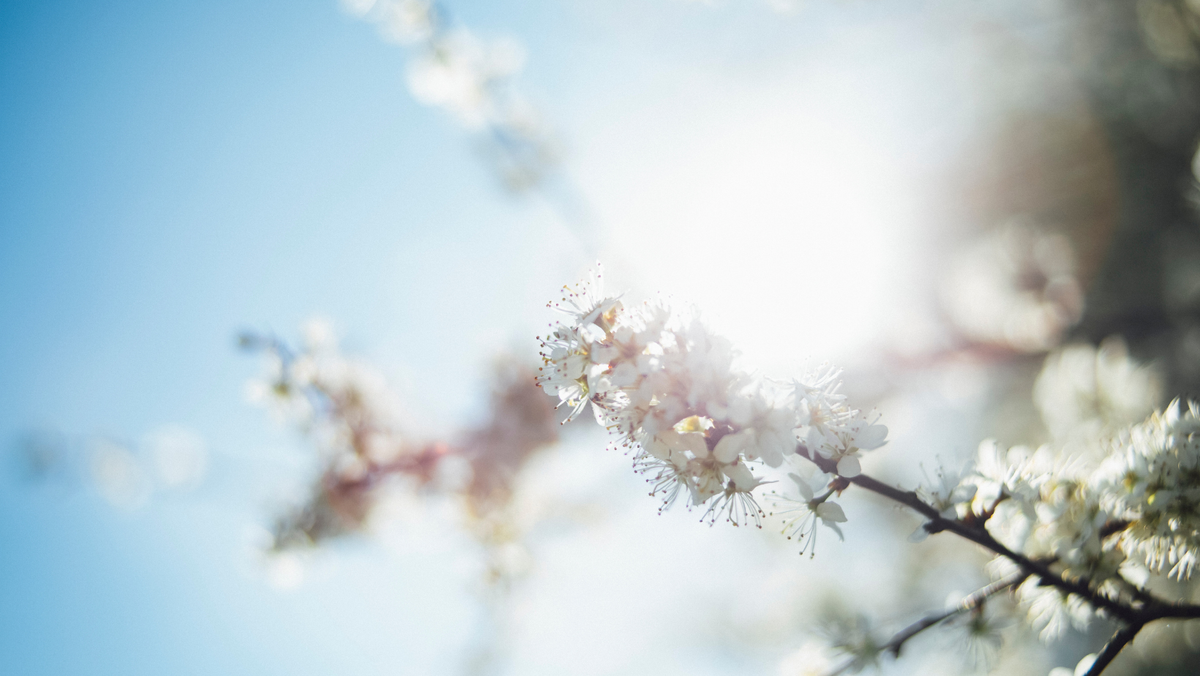 Meteorologii anunță soare și temperaturi de până la +17°C pentru 25 martie