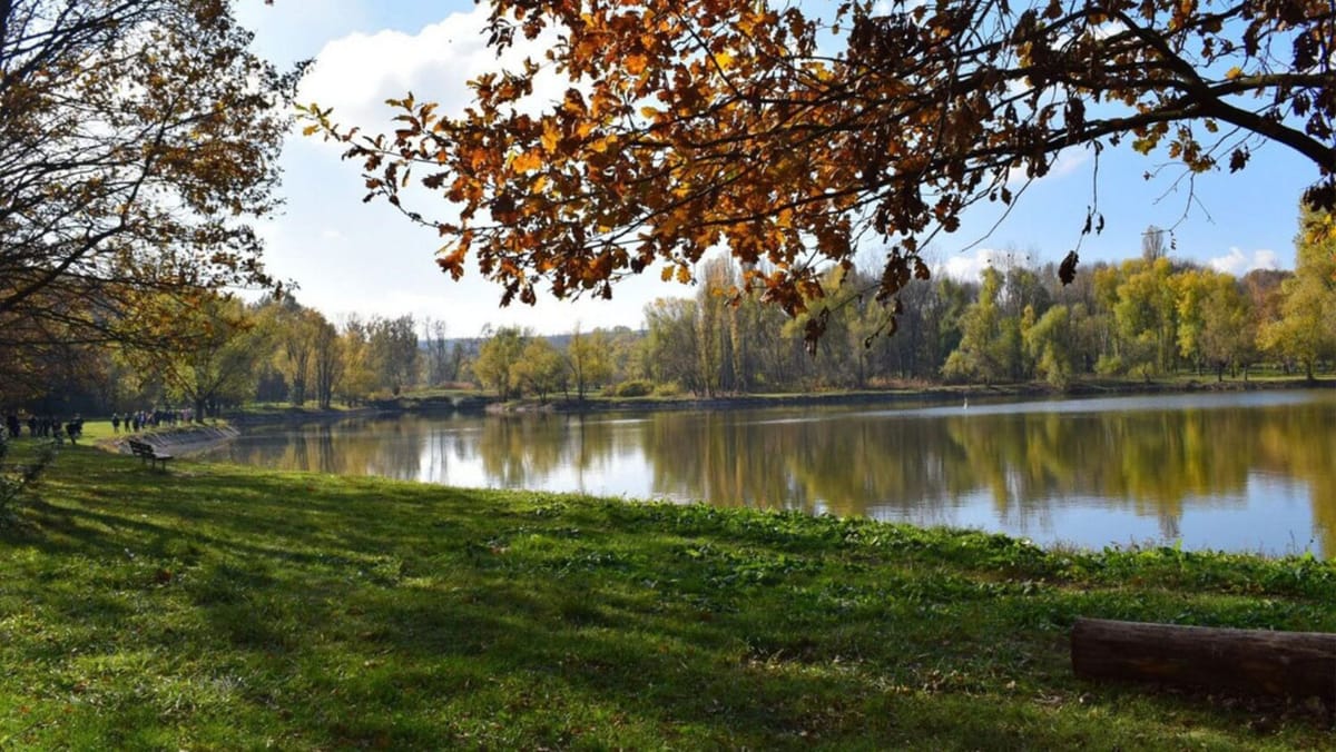 Audit la Grădina Botanică: venituri ratate de circa 10 milioane de lei și suspiciuni de plăți salariale nejustificate