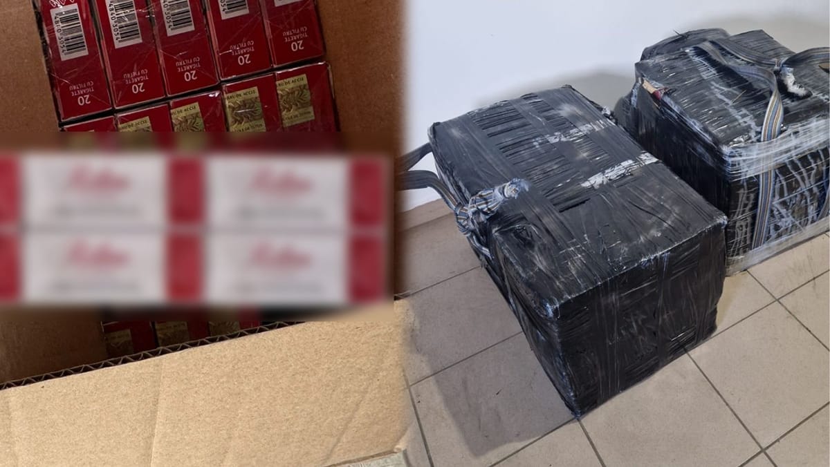 VIDEO/ Cooperare moldo-română: Patru persoane au fost reținute într-un dosar de contrabandă cu țigări