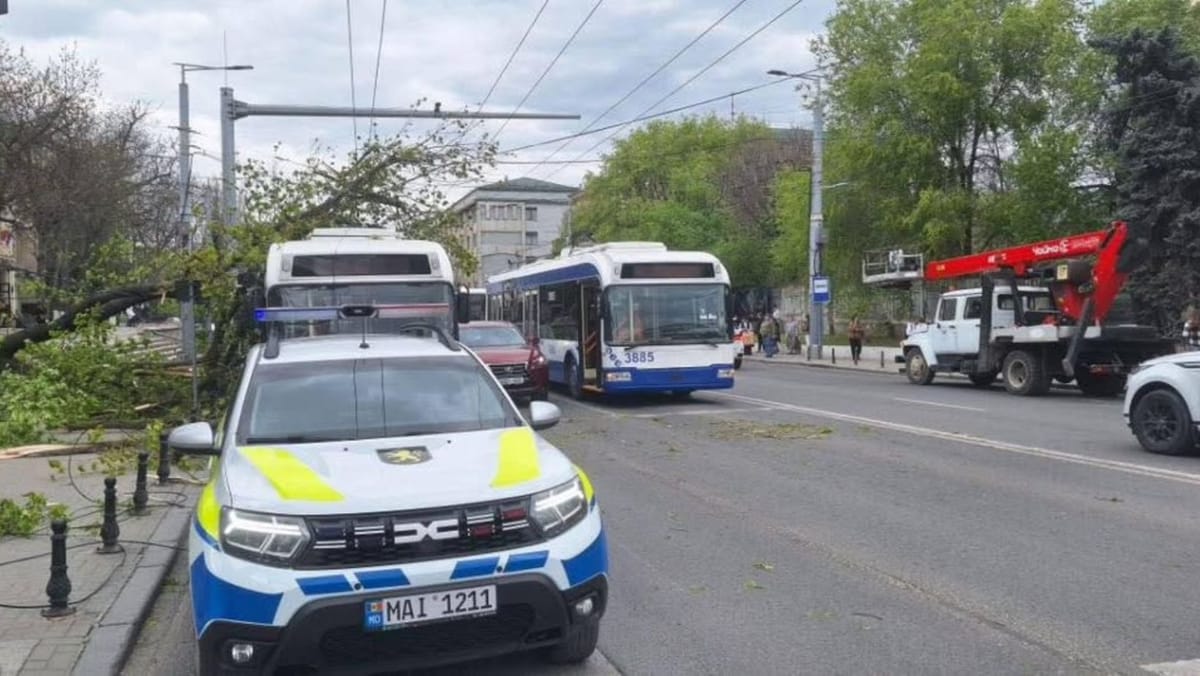 VIDEO/ Vântul puternic face probleme în capitală. O creangă a căzut peste un troleibuz, mai multe rute au fost redirecționate
