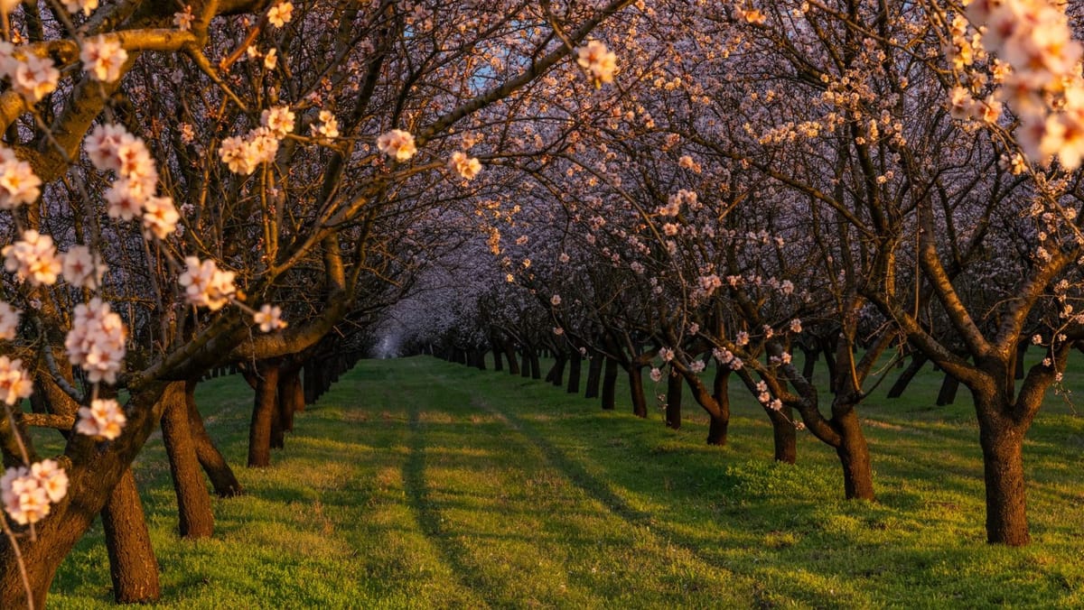 Maxime modeste și vânt slab. Prognoza meteo pentru ziua de 9 aprilie