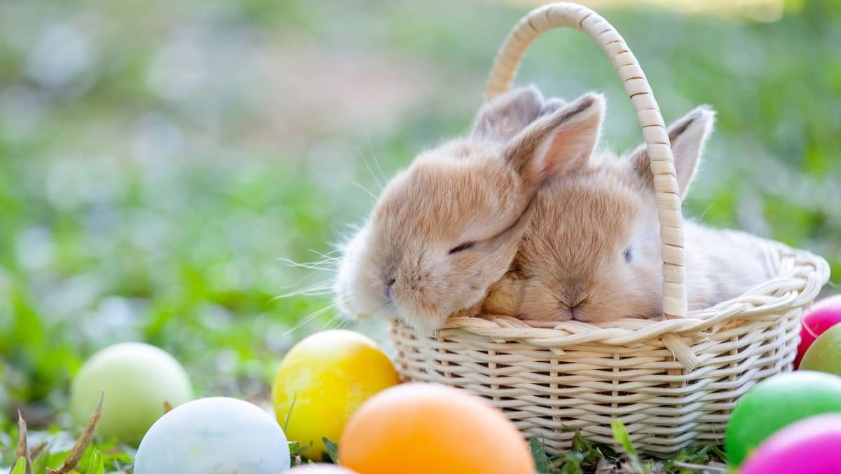 Sărbătoarea Învierii aduce ploi slabe în toată țara. Prognoza meteo pentru ziua de 12 aprilie