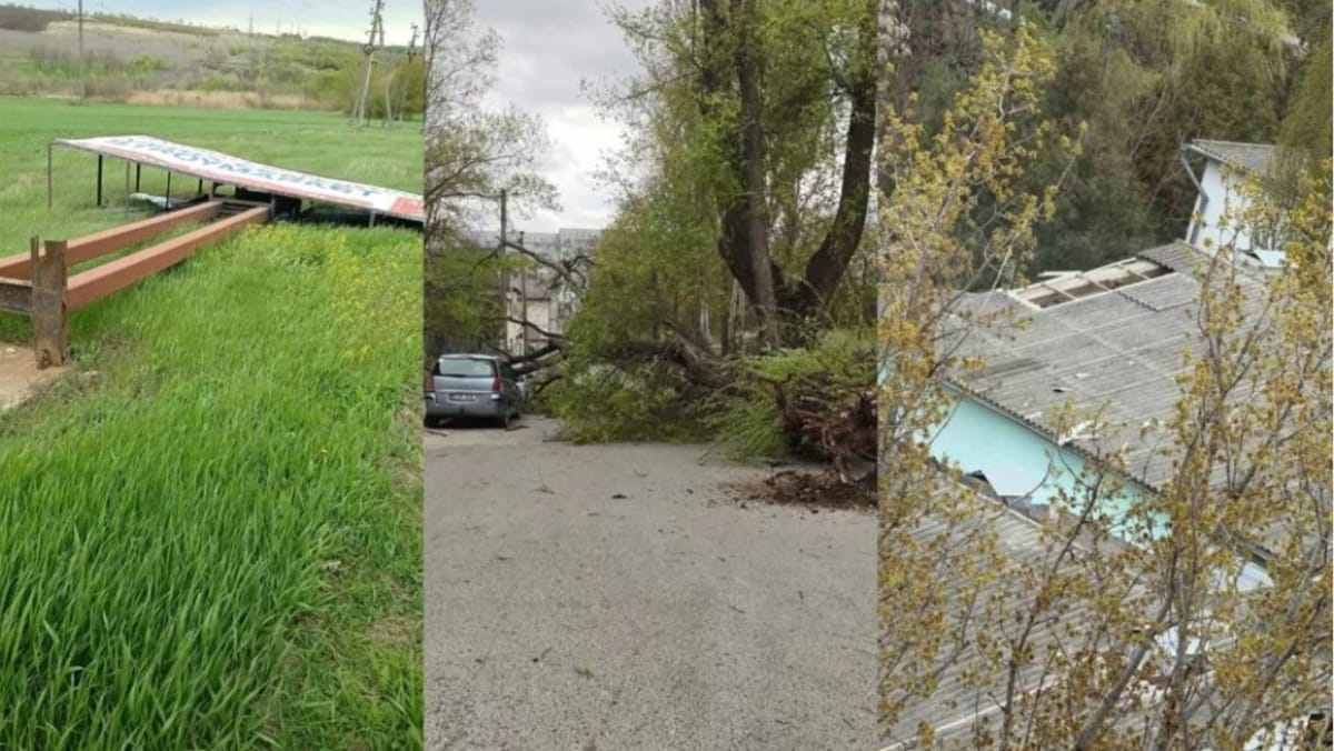 VIDEO/ Vântul puternic din nordul țării a doborât mai mulți copaci. Autoritățile fac apel la prudență