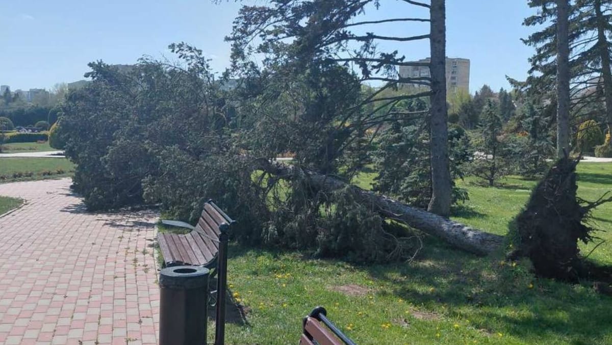 FOTO/ Zi dificilă în toată țara. Mașini avariate, acoperișuri smulse și persoane spitalizate cu traumatisme cranio-cerebrale