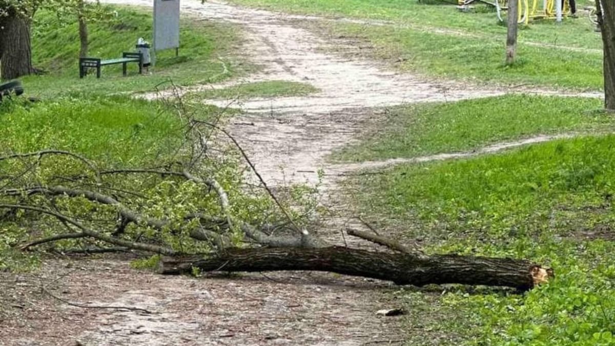 Un bărbat a murit după ce a fost strivit de un copac într-un parc din sectorul Rîșcani al capitalei