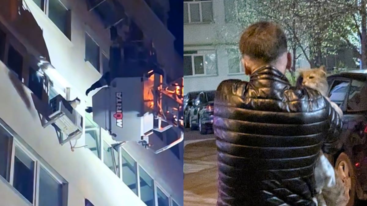 Misiune inedită în noaptea de Paște. Pompierii din Chișinău au salvat un motan de la înălțime - FOTO/VIDEO