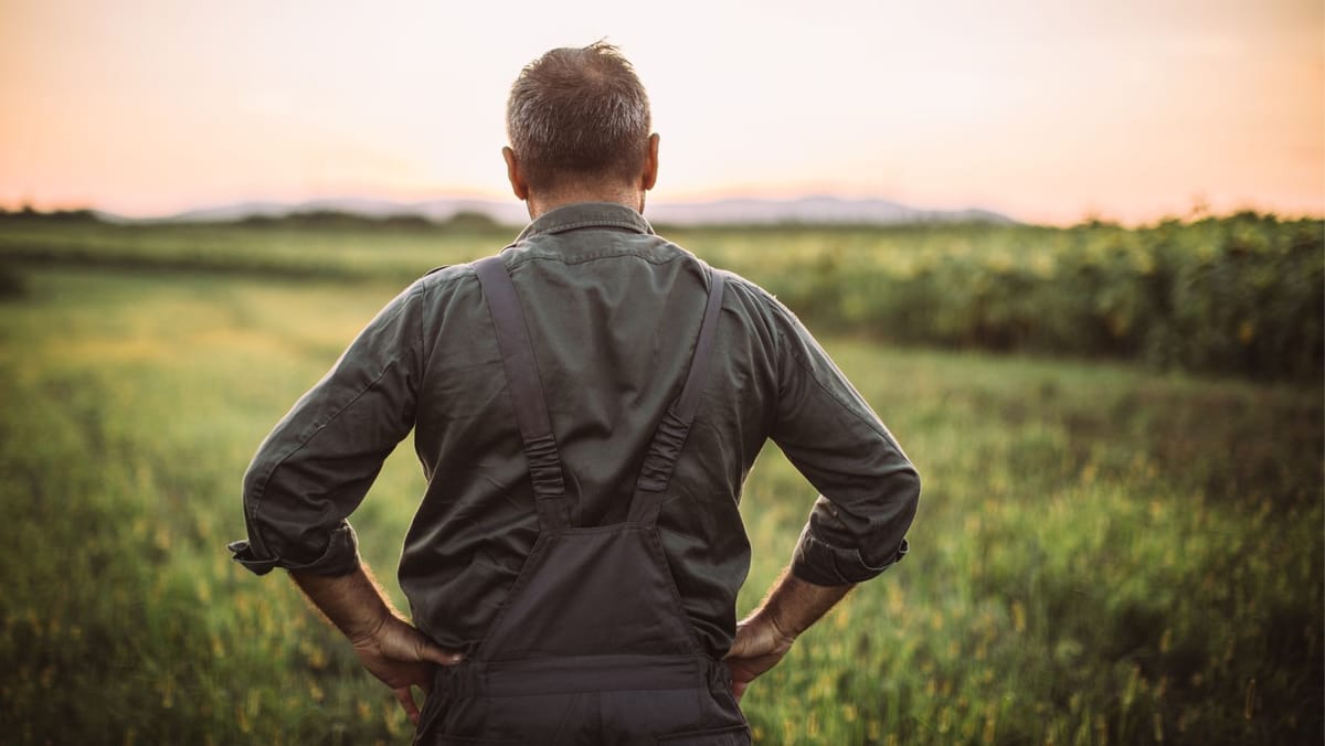 Fermierii amenință cu proteste masive: „Suntem în prag de faliment”. Ultimatum de două săptămâni pentru autorități