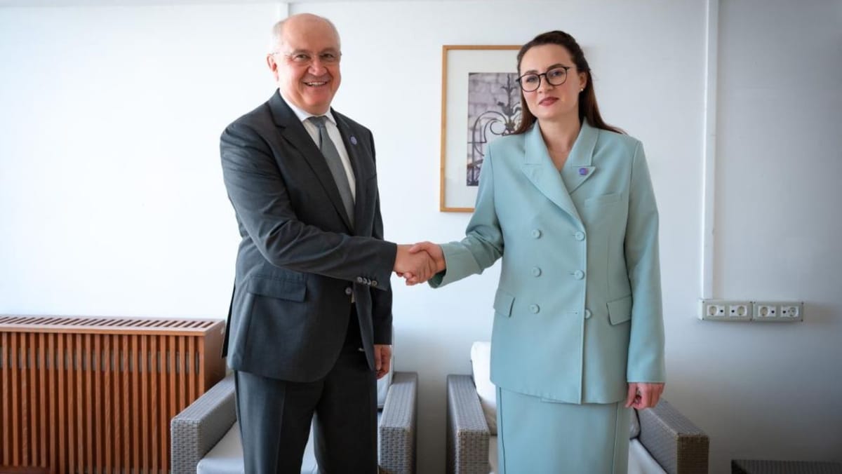 R. Moldova și Ucraina își coordonează eforturile pentru a reduce vulnerabilitățile în domenii critice