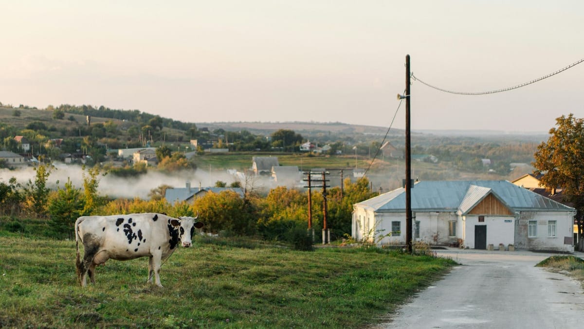Procesul de unire voluntară a localităților devine mai simplu. Parlamentul a votat modificările care reduc birocrația