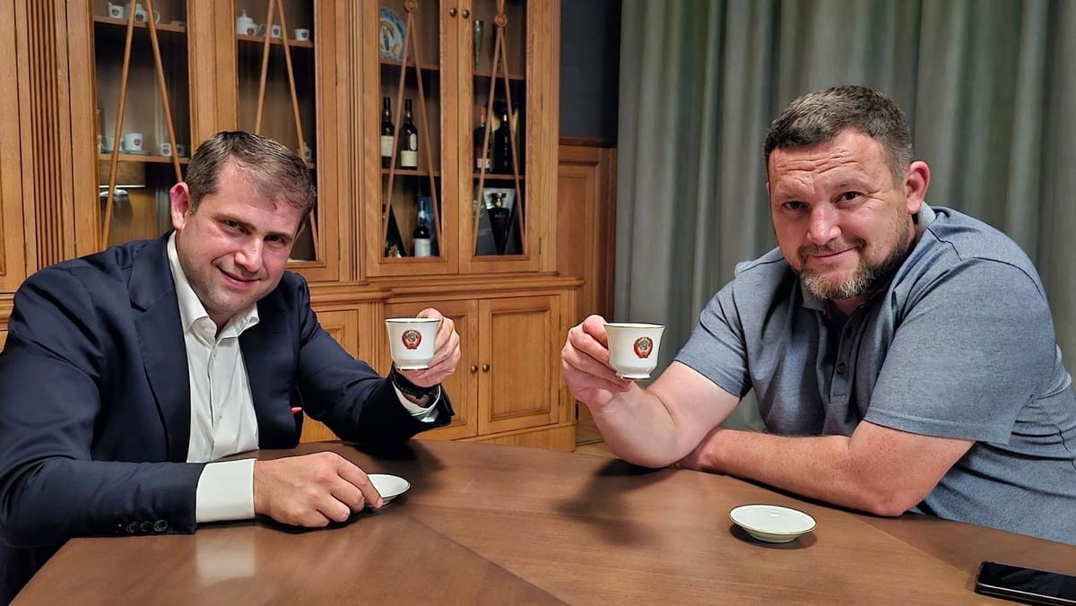 Gabriel Călin, condamnat la cinci ani de închisoare cu suspendare pentru finanțarea ilegală a partidului cu bani din Rusia