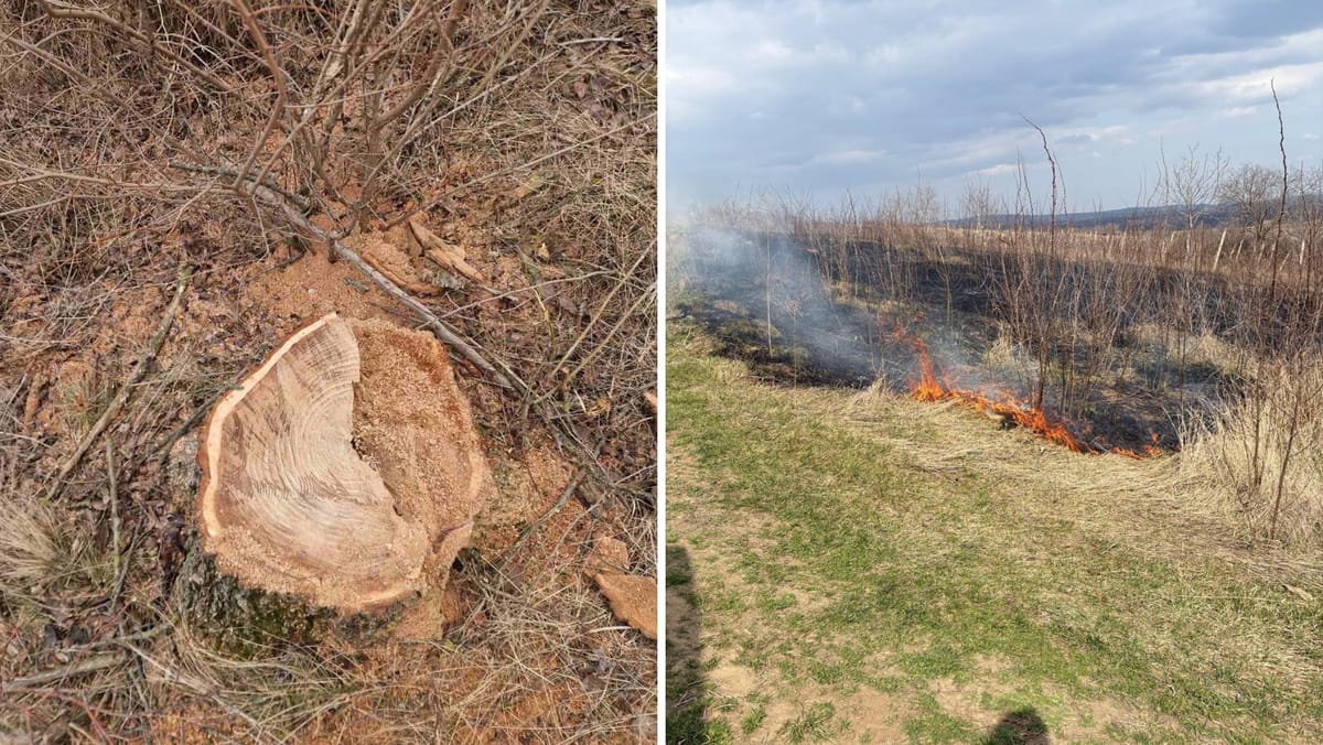 Inspectorii de mediu au aplicat sancțiuni la Călărași și Cimișlia, după depistarea mai multor încălcări