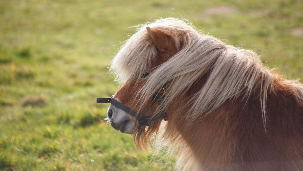 Temperaturile rămân moderate, dar vremea va fi instabilă. Prognoza meteo pentru joi, 23 aprilie