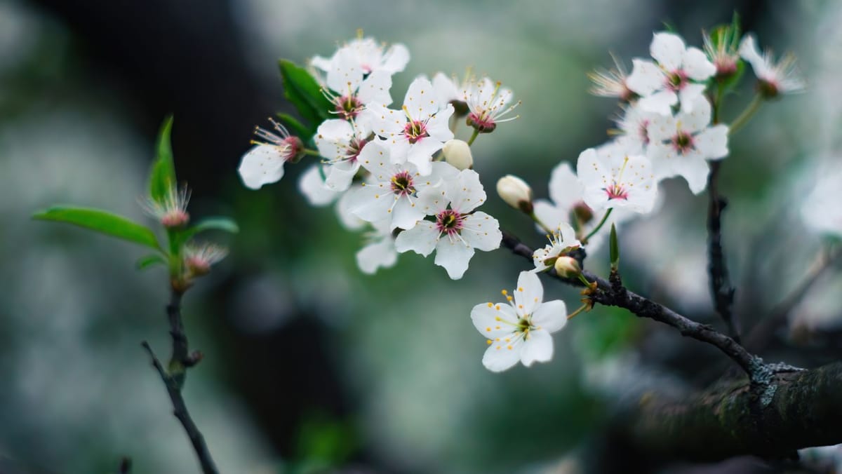 Temperaturi scăzute și cer înnorat vineri în toată țara. Meteorologii avertizează asupra înghețurilor