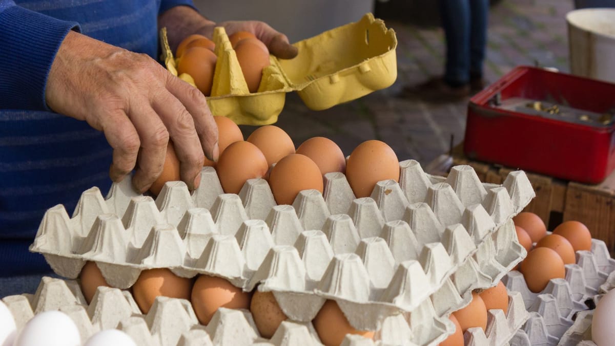 Ouăle din magazine vor avea etichete mai clare și reguli mai stricte pentru producători. Noile prevederi, aprobate de Guvern