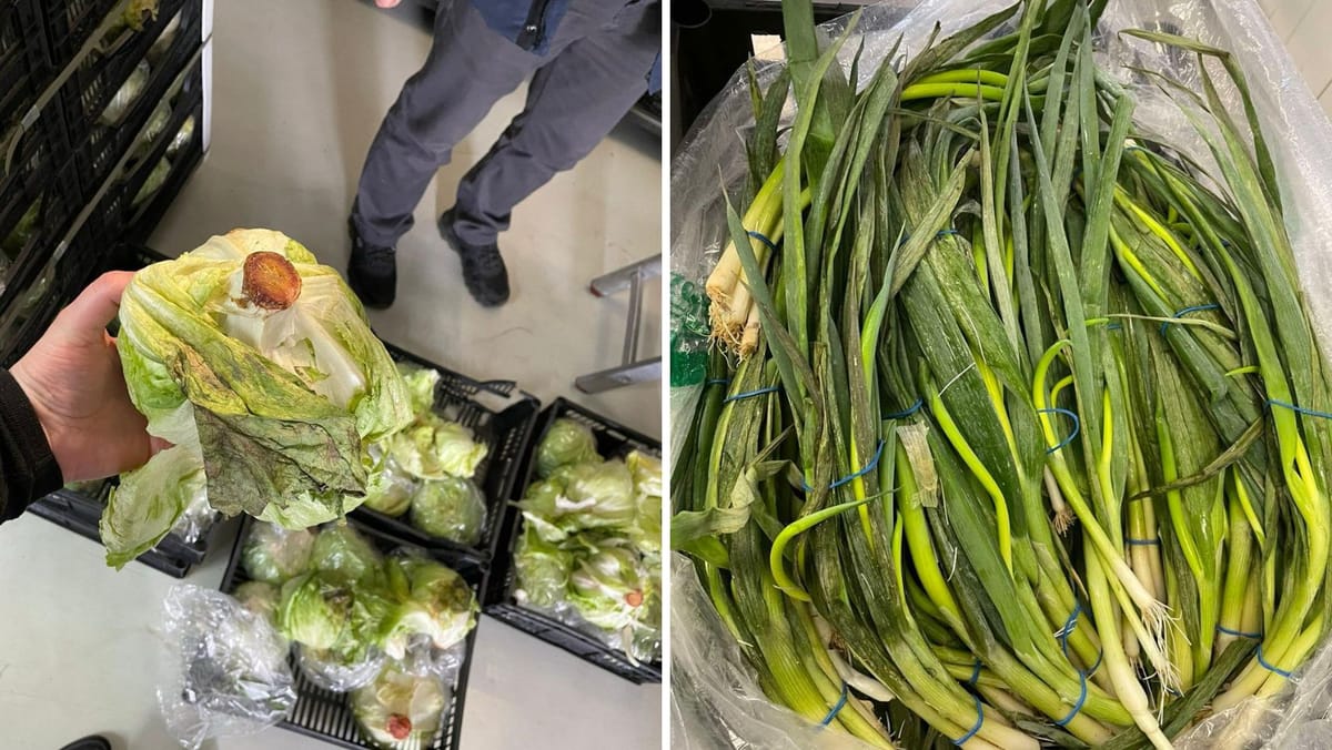 Peste 10 tone de verdeață de import, nimicite după controale la frontieră. Produsele prezentau semne avansate de alterare