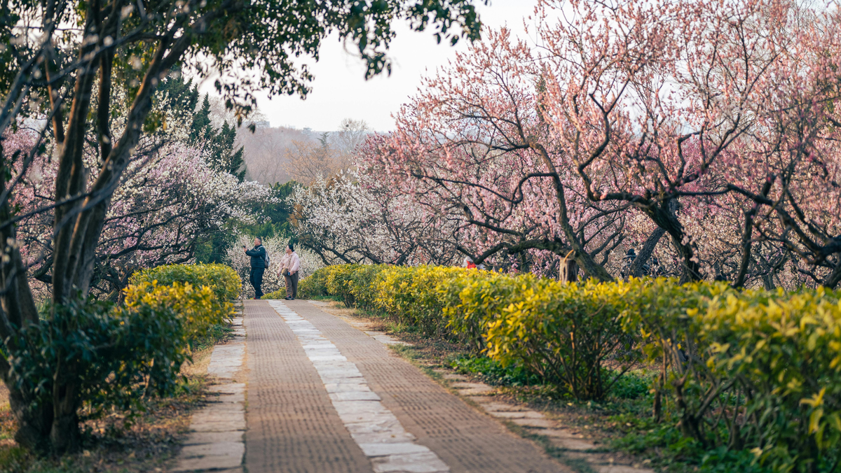 Dimineți reci și maxime de +18 grade: prognoza meteo pentru astăzi