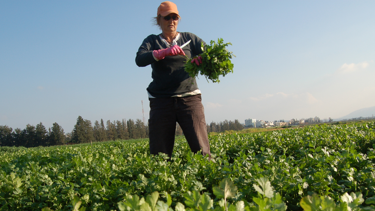 Fiecare zi de muncă va fi înregistrată: cum se schimbă plata zilierilor în R. Moldova