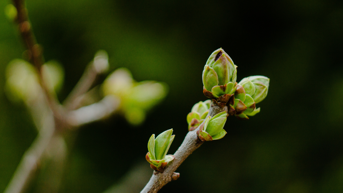 Zi de primăvară cu variații regionale: unde plouă și unde va fi cald - prognoza meteo pentru astăzi