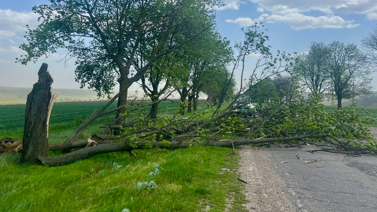 FOTO/ Vântul de ieri a afectat drumurile naționale: 16 sectoare au fost vizate de intervenții