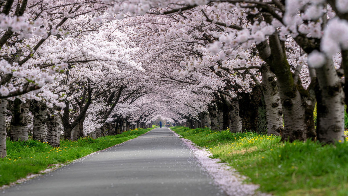 Vreme rece astăzi în Republica Moldova: maxime de până la +15 grade și înghețuri în nord
