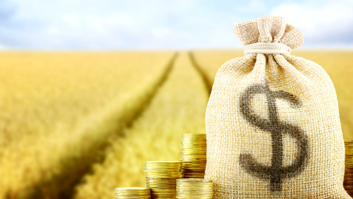 Nordul țării atrage aproape jumătate din finanțările FCA pentru agricultură