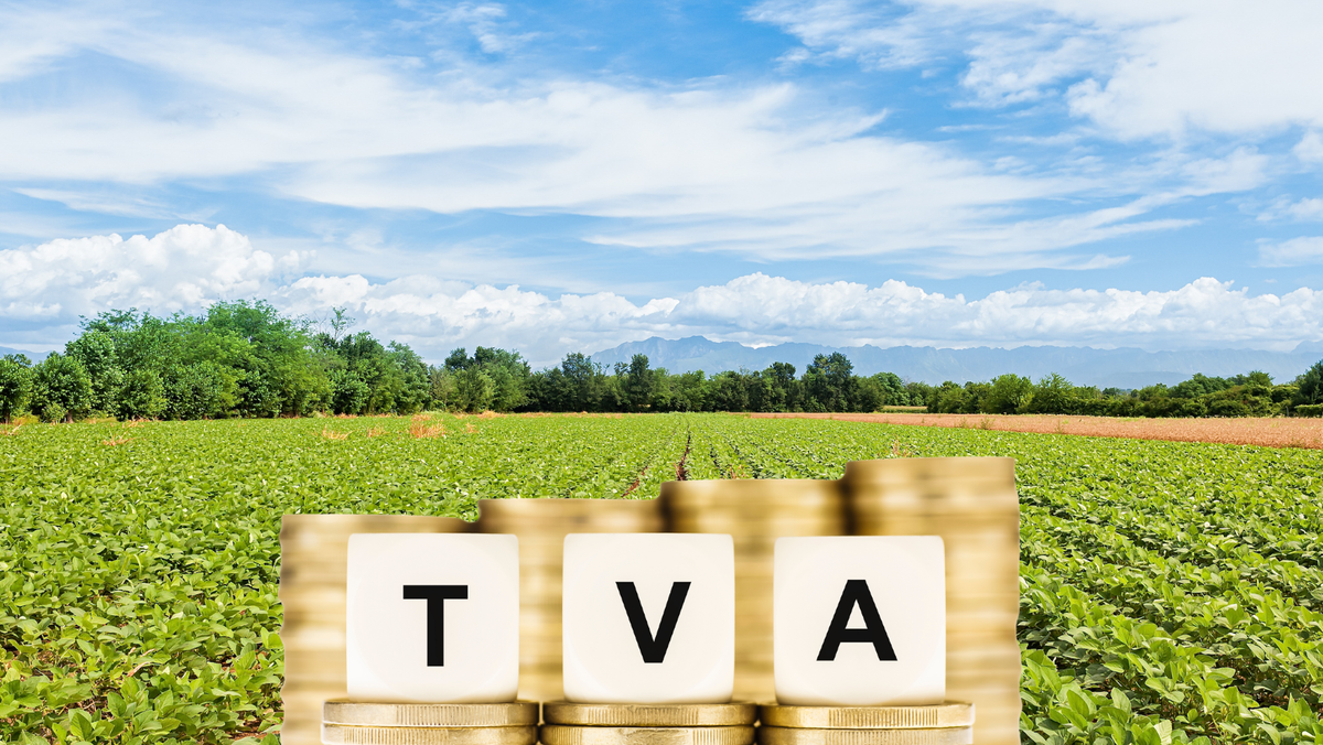 Datoriile la TVA, achitate gradual: Guvernul exclude plata integrală imediată