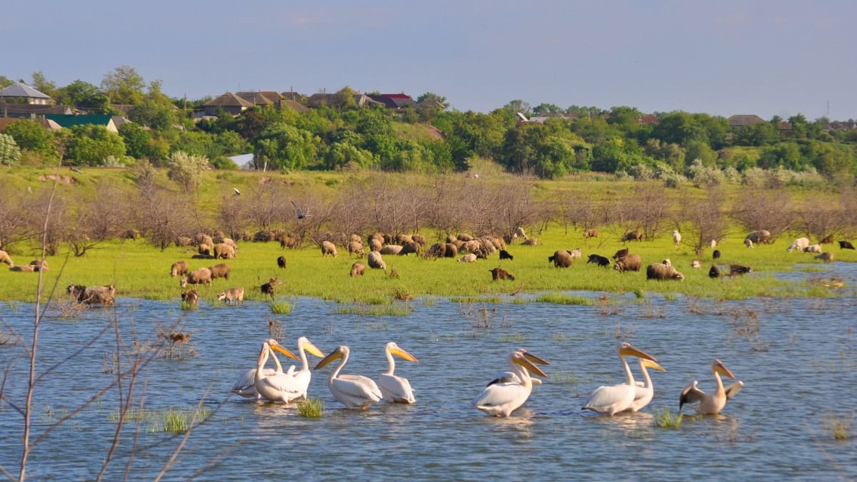 Bani pentru idei verzi: proiectele care pot schimba comunitățile din R. Moldova - iată cine poate aplica