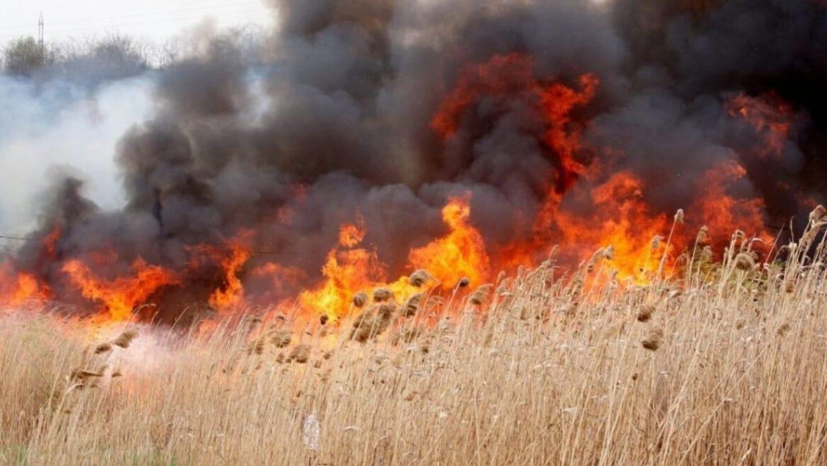 Crește riscul de incendii în sezonul estival. Ce recomandă Inspectoratul de Mediu