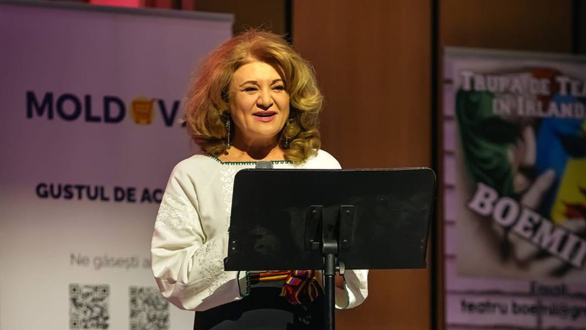Ambasadoarea R. Moldova în Irlanda și-a dat demisia, iar Guvernul a aprobat rechemarea. Ce spune ministrul de Externe
