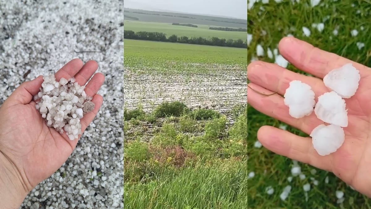 FOTO/VIDEO În mai multe raioane din R. Moldova a căzut grindină