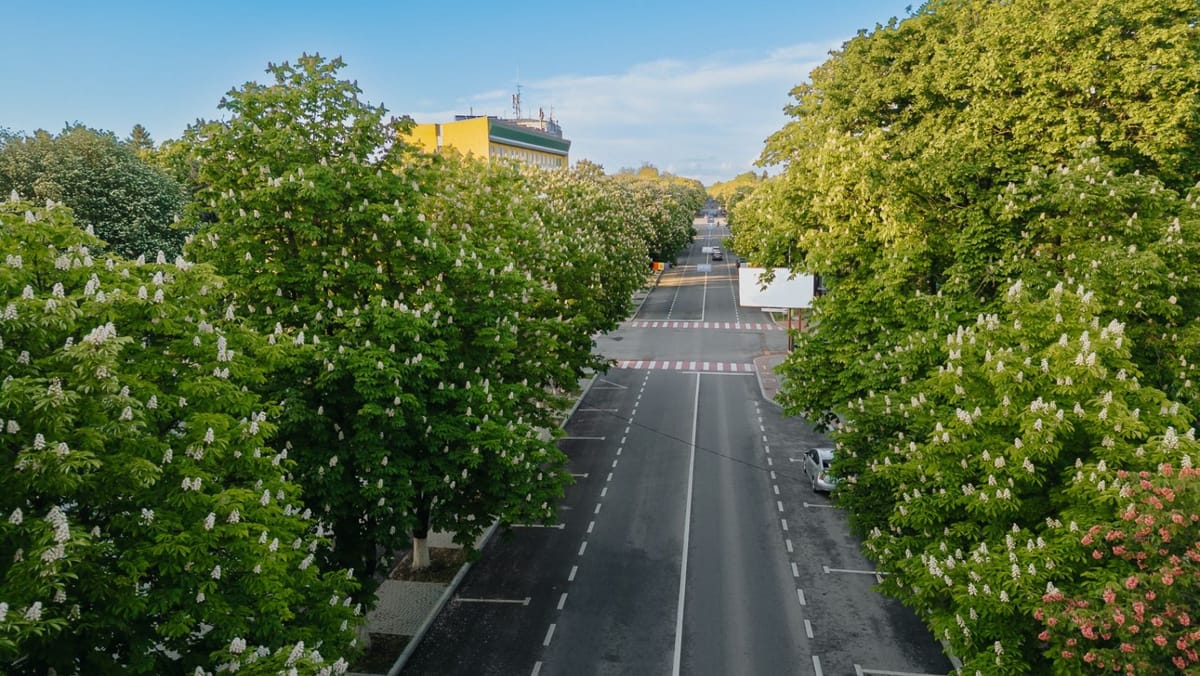 Primăvara ne spune la revedere cu maxime de până la +25°C și ploi în cea mai mare parte a țării