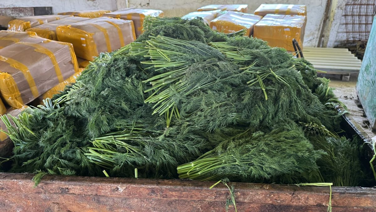 FOTO/ Un nou lot de mărar de import, retras și nimicit de ANSA din cauza pesticidelor