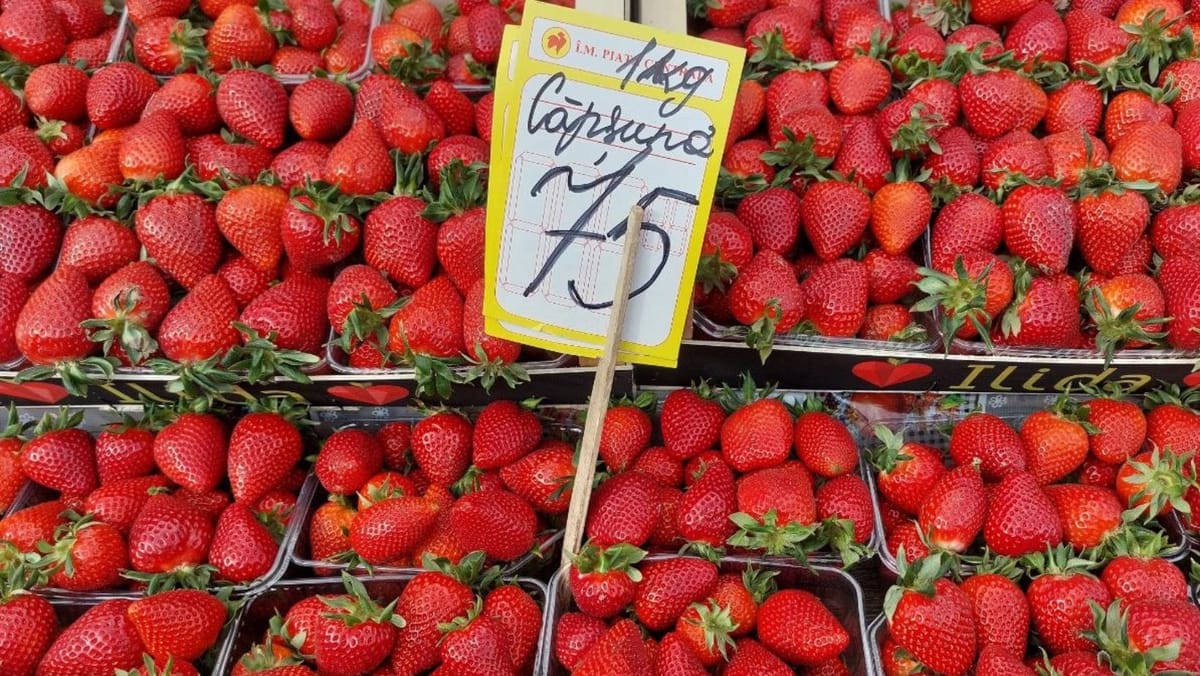 Căpșunele vândute în R. Moldova, sigure pentru consum. În 2026 nu s-au înregistrat depășiri ale reziduurilor de pesticide