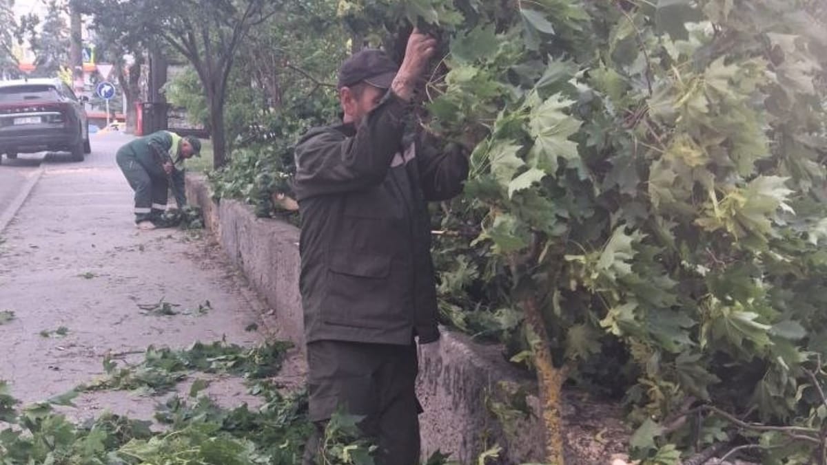 Vântul a provocat pagube în Chișinău. În sectorul Botanica a fost doborât un copac, iar în Centru s-au rupt crengi