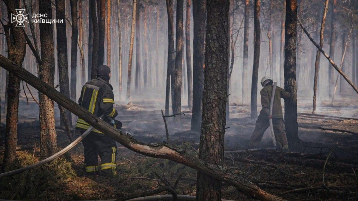 FOTO/ Două drone au provocat un incendiu de amploare în zona de excludere de la Cernobîl