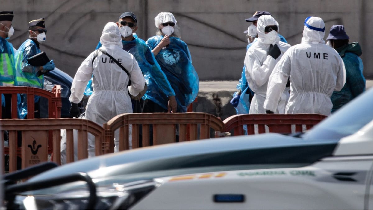 Nava afectată de hantavirus a plecat spre Țările de Jos. Ce spun autoritățile despre riscuri
