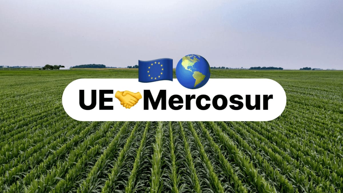 Acordul UE-Mercosur intră astăzi în vigoare. Ce înseamnă pentru piața europeană aplicarea provizorie din 1 mai