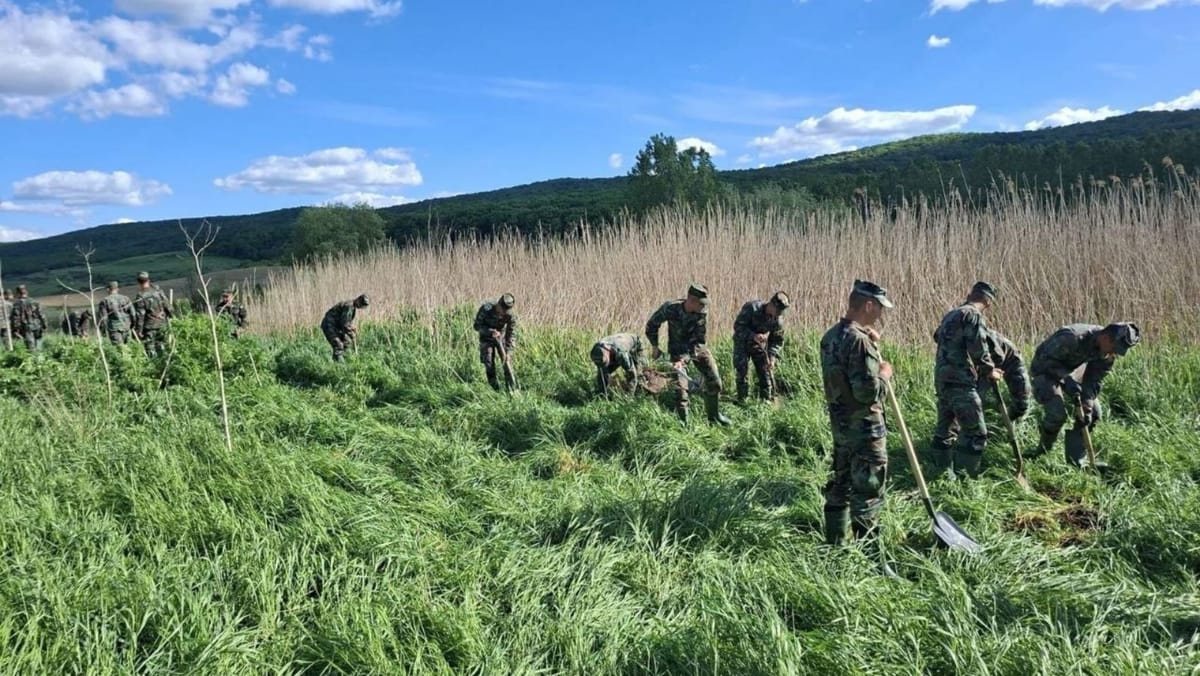 Armata intervine la Călărași. Militarii încearcă să reducă riscul cedării unui baraj