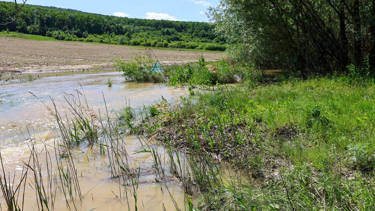 12 rachete antigrindină, lansate în raionul Călărași. Autoritățile anunță că nu au fost înregistrate căderi de grindină